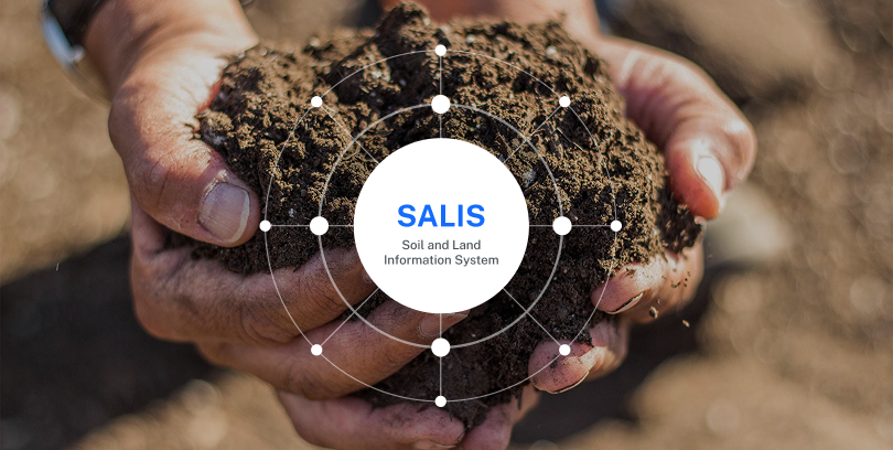 Two hands holding a lot of dirt